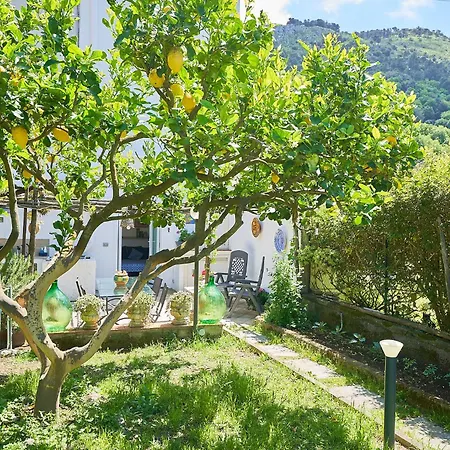 Il Cellaio Anacapri (Isola di Capri)