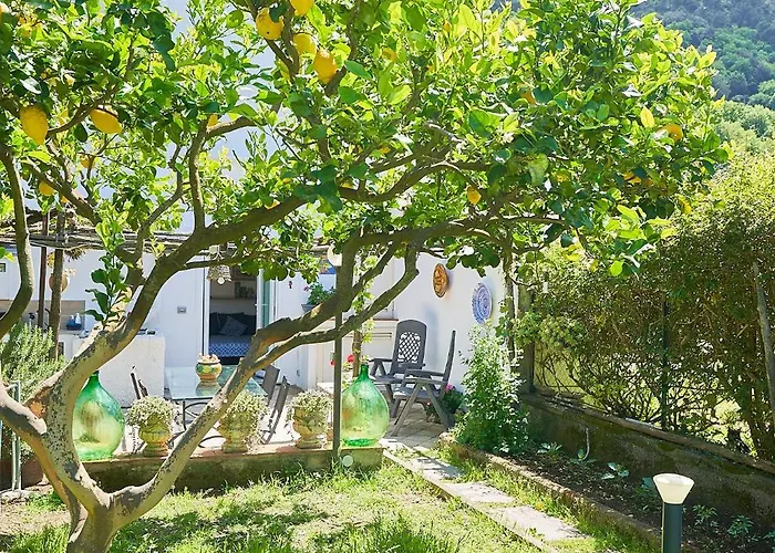 Il Cellaio Anacapri (Isola di Capri)